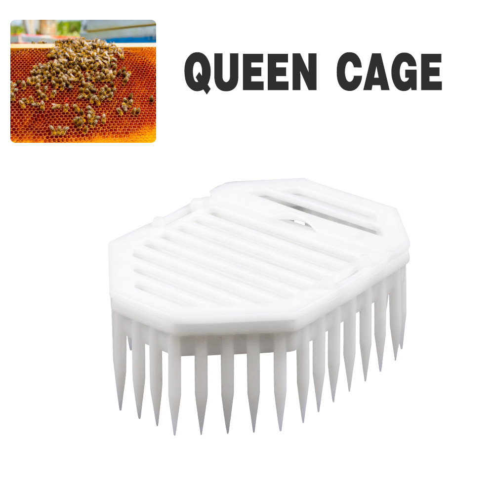 alt="Queen cage Octagonal Queen Bee Cage For Apiculture Beekeeper Beehive"