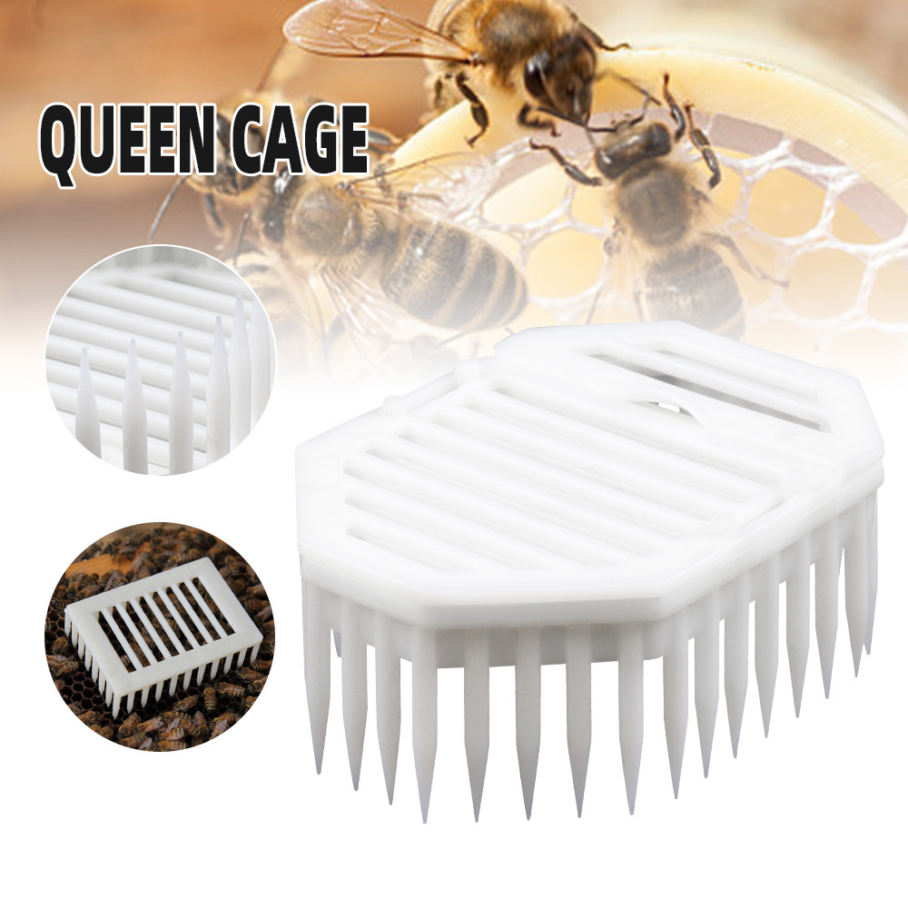 alt="Queen cage Octagonal Queen Bee Cage For Apiculture Beekeeper Beehive"