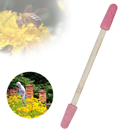 Beekeeping tools Bamboo Royal Jelly Pen for collecting Royal Jelly