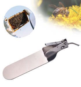 Beekeeping Queen Rearing Worm Moving Transferring Needle Master Grafting Tool Transfering Larvae