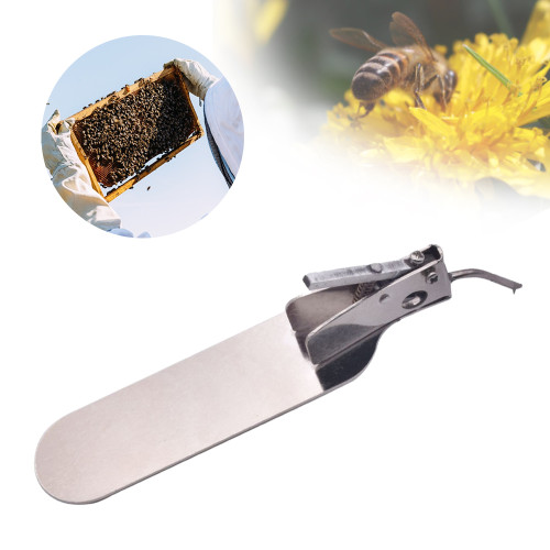 Beekeeping Queen Rearing Worm Moving Transferring Needle Master Grafting Tool Transfering Larvae