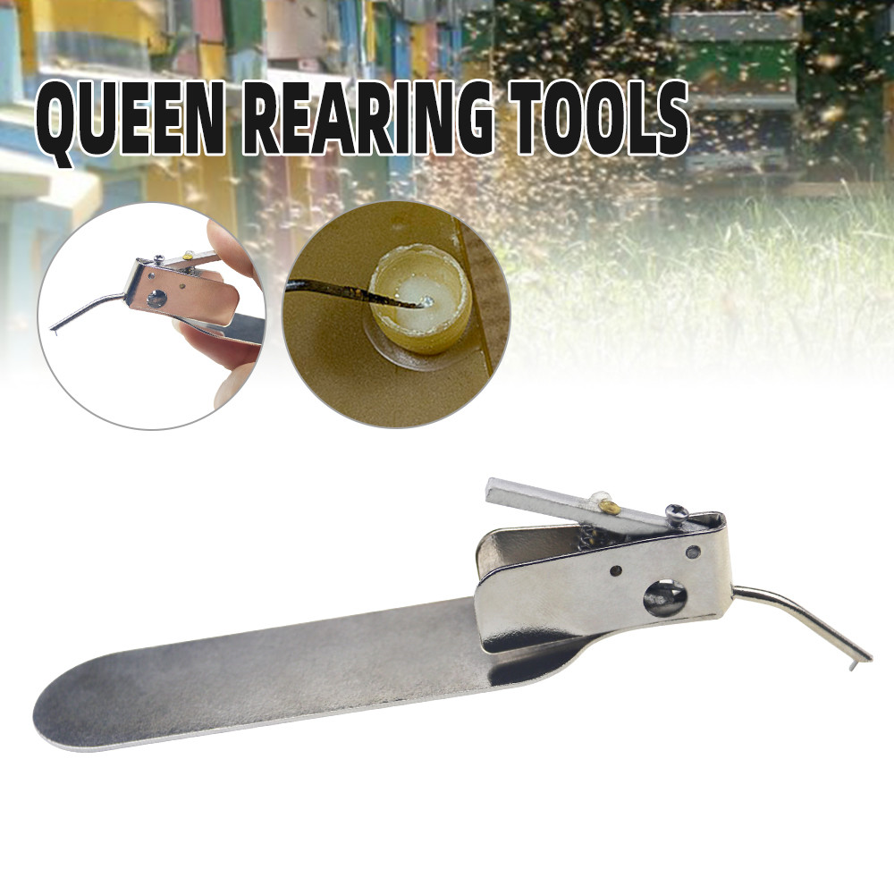 alt="Beekeeping Queen Rearing Worm Moving Transferring Needle Master Grafting Tool Transfering Larvae"