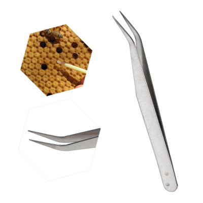 Beekeeping supplies Beekeeping tool beekeeping curved tweezers for beekeeping