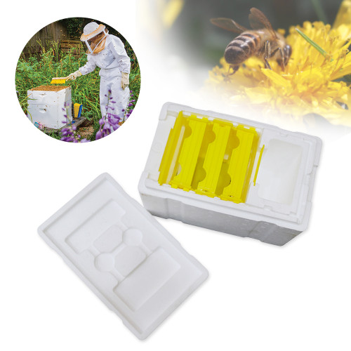 EPS mini queen bee box 1 layer plastic queen bee mating box