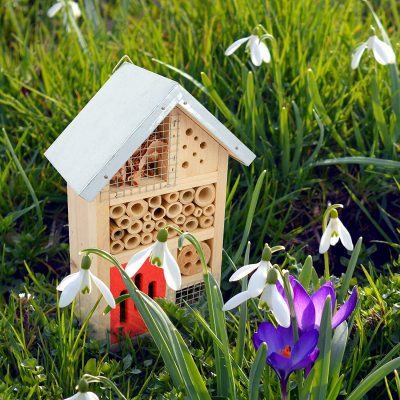Mason bee house for garden beekeeping