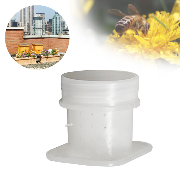 Plastic bee feeder Syrup feeder for beekeeping
