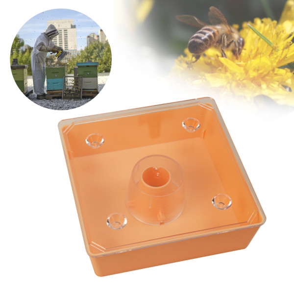 Plastic Square Top bee feeder Syrup feeder for beehive
