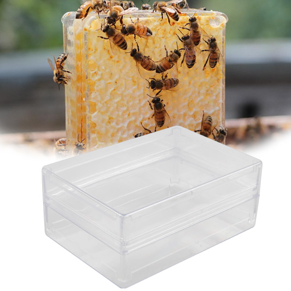 500g Transparent Honey Comb Cassette box for beekeeping