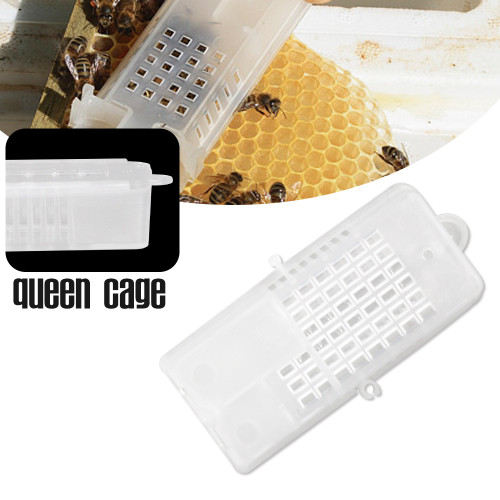 Multifunctional Bee Queen Cage for Catching Queen Bees