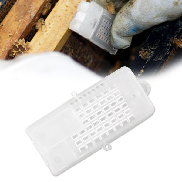 Multifunctional Bee Queen Cage for Catching Queen Bees