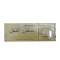 DOCTOR BEE Arabic Type Fluvalinate Strips 10 Strips Against Varroa Mite