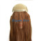 Brazilian virgin hair front silk top wig
