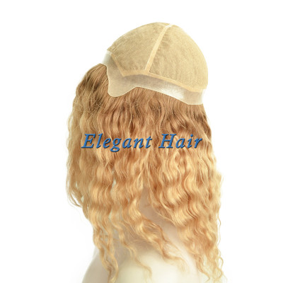 Brazilian virgin hair full silk top wig