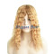 Brazilian virgin hair full silk top wig