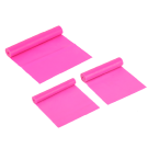 Flat Resistance Band Home Gym For Strength Training, Physical Therapy, Pilates, Chair Exercises