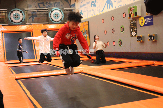 What You Should Know Before Opening A Trampoline Park?