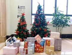 Pokiddo Wish You Merry Christmas and Happy New Year