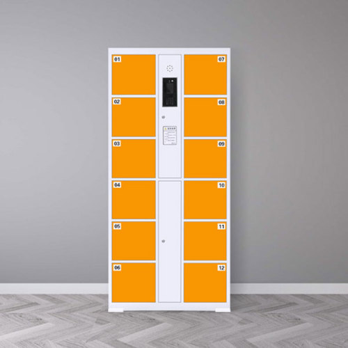 Face Recognition Electronic Locker for Trampoline Park / FEC