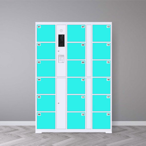 Face Recognition Electronic Locker for Trampoline Park / FEC