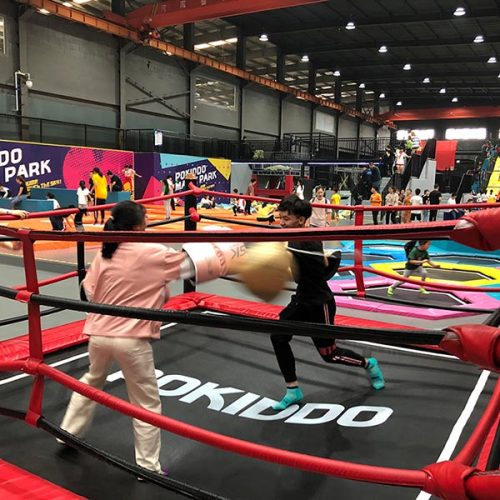 Trampoline Boxing - Indoor Trampoline Park Attraction