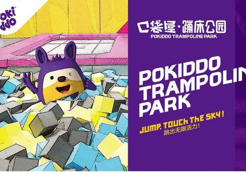Why and How To Create a Website for Your Trampoline Park?