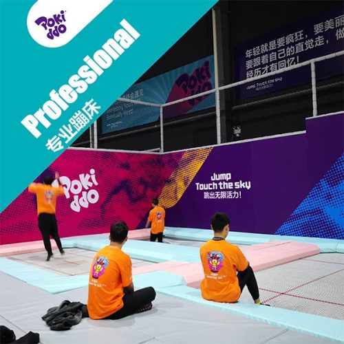 High Performance Trampoline - Professional Trampoline Park Attraction