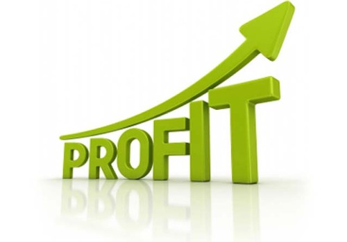 How Profitable is Trampoline Park Business?