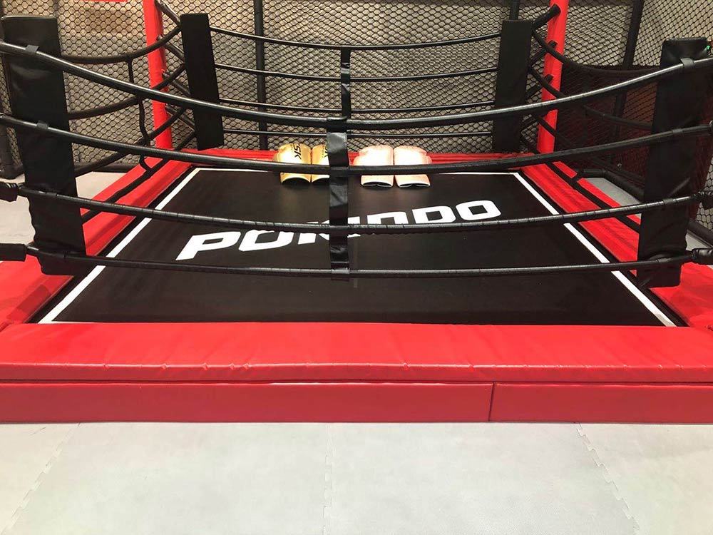 Suichang Pokiddo Trampoline Park boxing