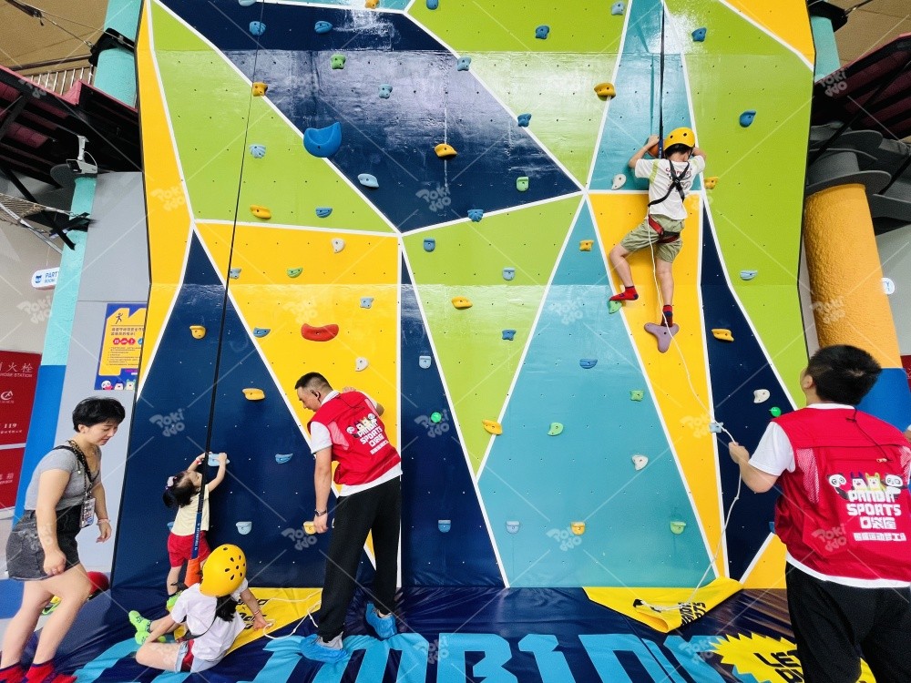Indoor Playground Climbing Wall