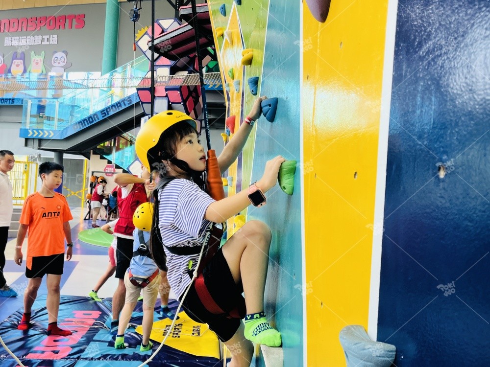 Indoor Playground Climbing Wall