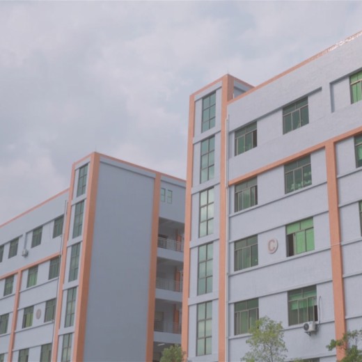 Fully Start the "Golden Age" of the Hook and Loop Industry