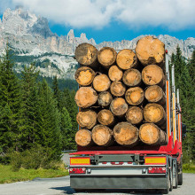 Resolute Forest acquires three US sawmills for Conifex timber