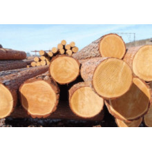 Will the demand for wood imports disappear or be delayed?