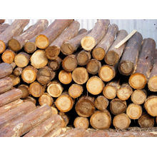China imported 41,849,500 cubic meters of timber in the first half of 2020.