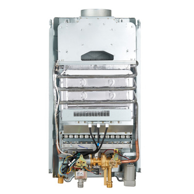10L flue type European style instant tankless gas water heater WM-FD03