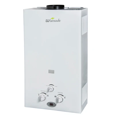 6L-12L نوع المداخن tankless الغاز سخان المياه WM-FL01