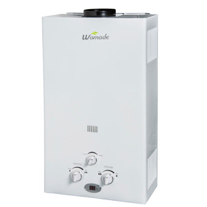 6L-12L flue type tankless gas water heater WM-FL01