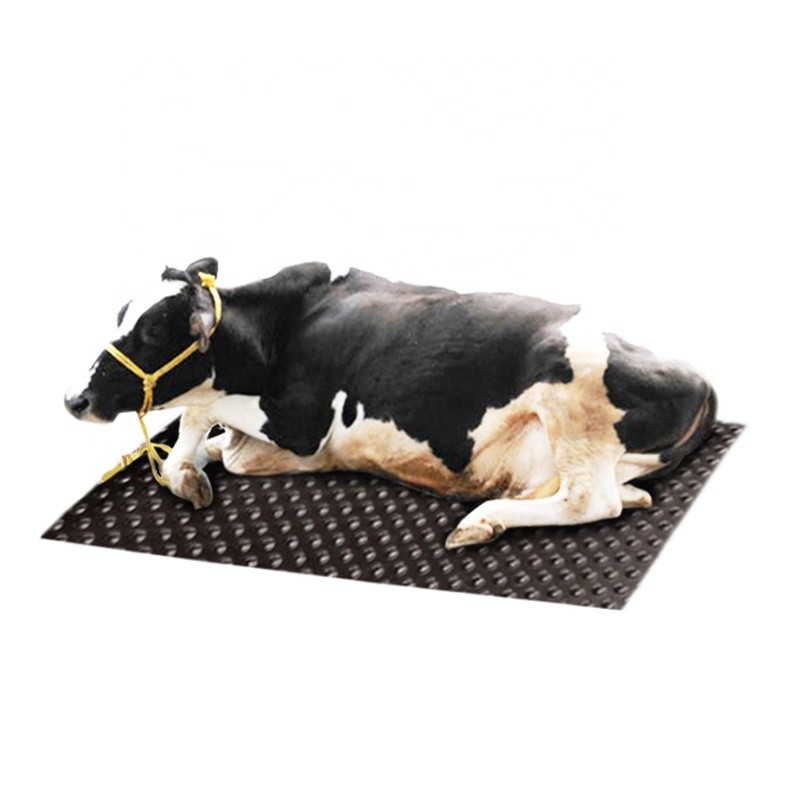 Anti Fatigue Cow Matting Gummikissen für Pferdestall / Deckpferd mit Kuh