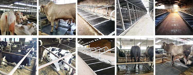 Rubber mat for cow horse pig and other animal