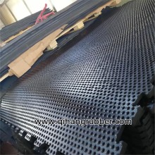 Rubber mat on the advantages of livestock