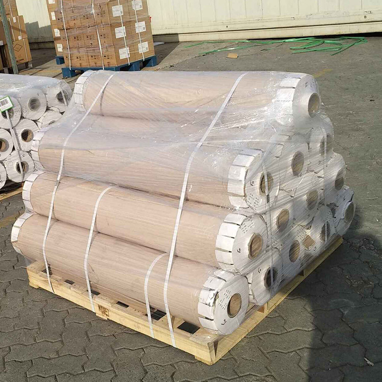 plastic sheet
