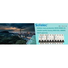 Sofielec mass production MCB SFM65-63, reliable quality factory MCB 63A, SEMKO,CB,CE approval