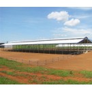 Prefabricated Steel Structure Poultry Farm For Dairy  Shed  In New Zealand