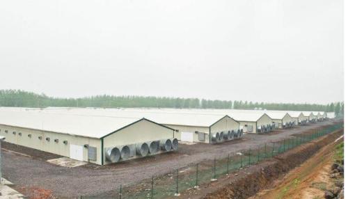 Prefab Steel Structure Poultry Houses construction equipment For sale