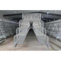Prefabricated Poultry Farm For 10000 Broiler Chicken House in Ghana