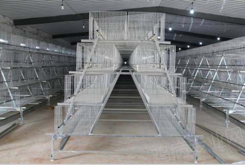 Prefabricated Poultry Farm For 10000 Broiler Chicken House in Ghana