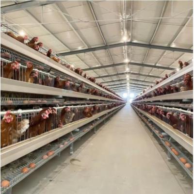 China Prefabricated Poultry Farm brioler layer chicken house design