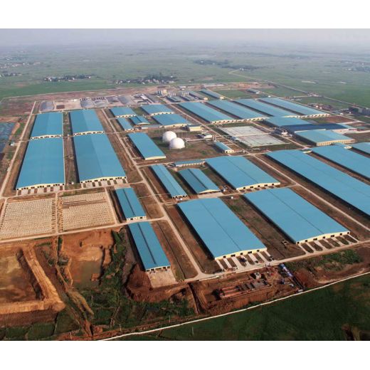 Steel structure  chicken house  design and material selection scheme