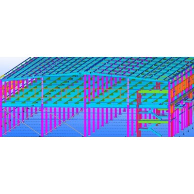 Indonesia  Food Processing Steel Structure Workshop
