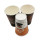 PLA biodegradable disposable coffee cafe tea drinks paper cups